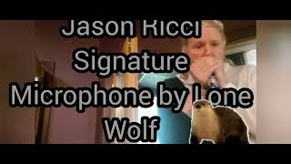 Video thumbnail for Microphone, Pedals and Amps 🌟 New Record! (Gear Listed Below) by Jason Ricci