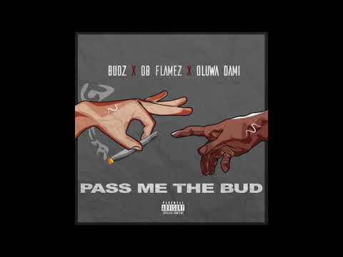 Pass me the bud -- (TFE) Budz X Ob Flamez X Oluwa Dami Audio Video