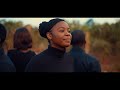 Zither Harmony - Kolanga (Official Music Video)