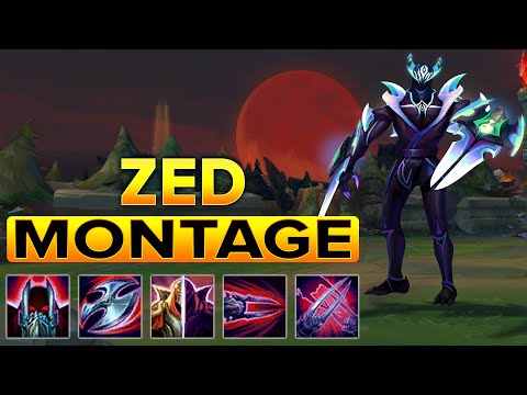 ZED MONTAGE 2023 - FAST COMBO