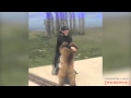 Хабиб Нурмагомедов VS Медведь 