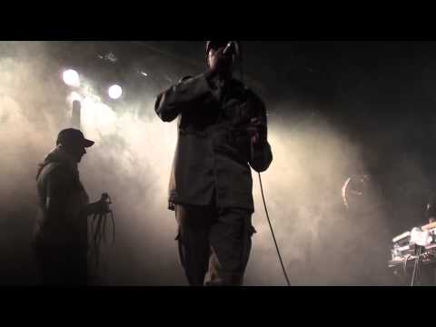 VIBRONICS meets BRAIN DAMAGE (live in toulon)