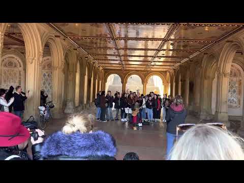 2023-03-05: Central Park - Guitarist + Group Singing “Count on Me”