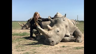THE LAST TWO NORTHERN WHITE RHINOS IN THE WORLD