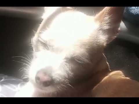 tu cabecita y la mía mirando el mar