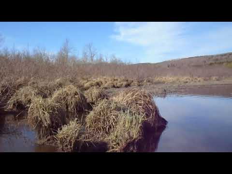 download lagu mp3 mp4 Peeperz, download mp3 Peeperz free downloadn, video klip Peeperz