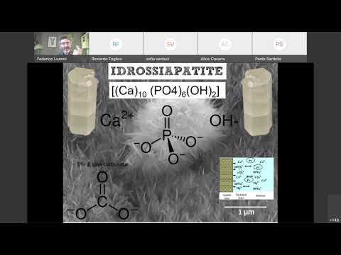 15 Istologia Osso parte II