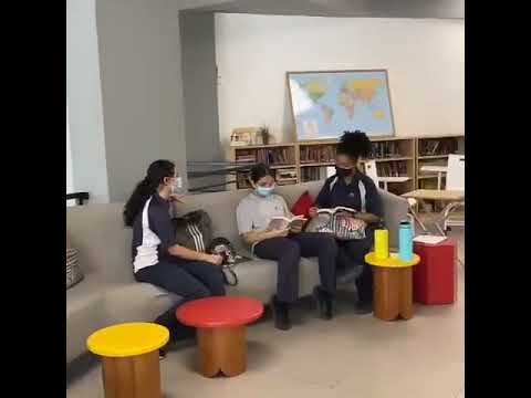 Discover the World of Books in the New Library