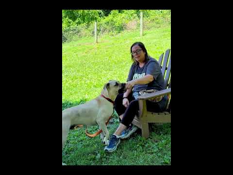 Kane video