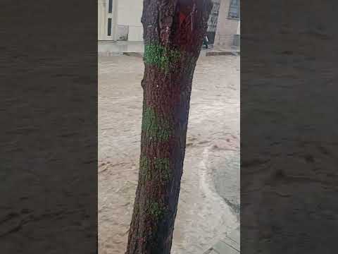 muita chuva no Ceará.  6 de março de 2026