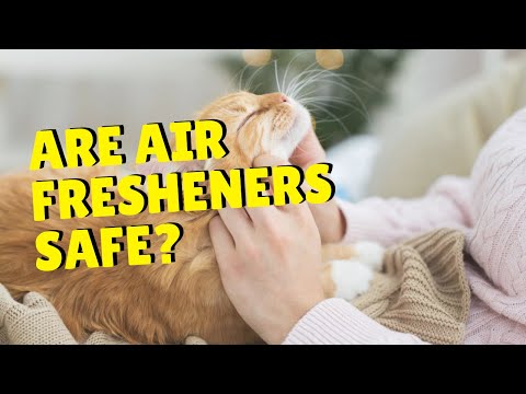 Is Air Freshener Safe For Cats? | Two Crazy Cat Ladies