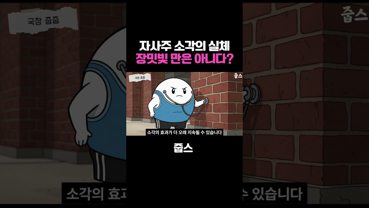 자사주 소각의 실체 장밋빛 만은 아니다