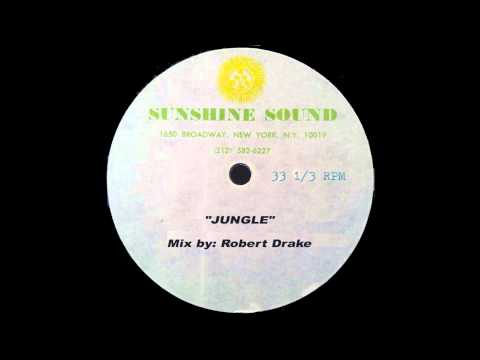 Legends of Vinyl Presents Sunshine Sound - Jungle - Mix By Robert Drake.mp4