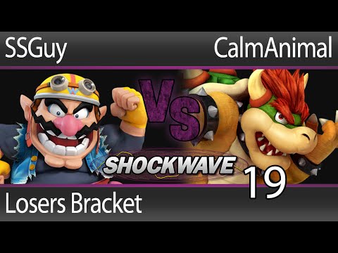 SW19 Smash 4 - SSGuy (Wario) vs CalmAnimal (Bowser) - Losers Bracket