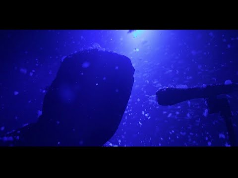 Nizioł V.2 Hinol Polska Wersja ft Paluch kali O. S. T. R. Y,  2014