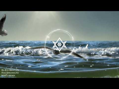 Rae Sremmurd - Black Beatles (MAKJ remix)