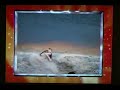 America S Funniest Home Videos Honorable Mentions Season 19 Episode 18 2009