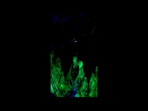 Gloomy Phantom / Dra Orcon live @ Hexen Sabbat OA Beverungen 13.5.2016