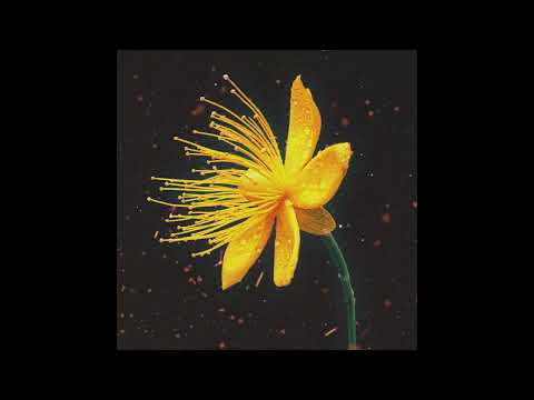 Voltaire - Frequencies [AST003]