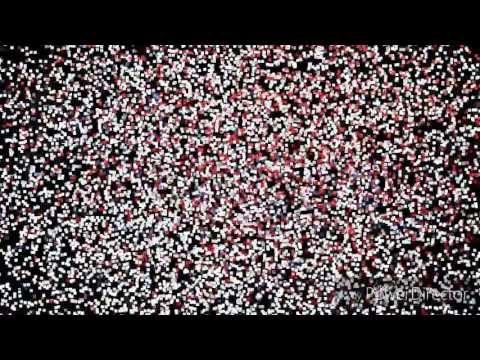 Brasil vs Alemanha : a grande revanche 🇧🇷🇩🇪