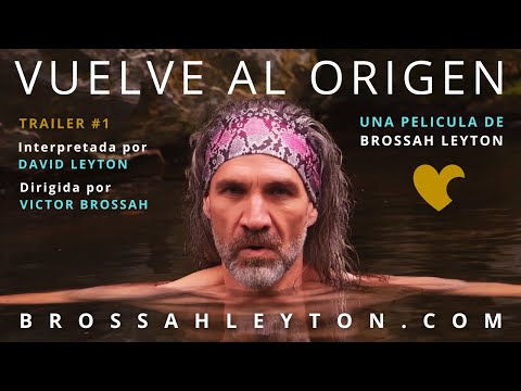 Película VUELVE AL ORIGEN (Tráiler 1)