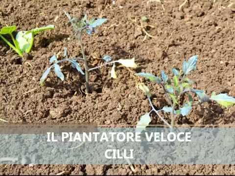 Localizzazione di dermatite atopic Cura di John Pegano di psoriasi strada naturale di txt