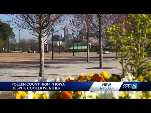 Iowa Pollen Count