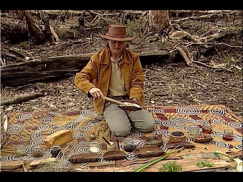 Australian Bush Tucker