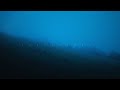 Best Of Underrated Flawed Mangoes Ambient Mix