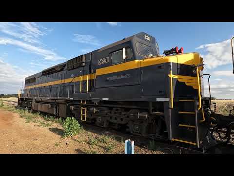 C501 walk Bogan Gate NSW.  Wed 22nd Oct 2025