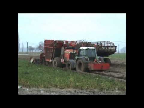 Loonwerker Watteyne knolselder rooien in extreme omstandigheden met vervaet op rupsen