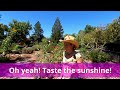 Snack Dance When It S Hot The Temperature Induces SNACK DANCE