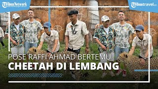 Raffi Ahmad Main ke Bonbin, Beranikan Diri Foto Bareng Cheetah