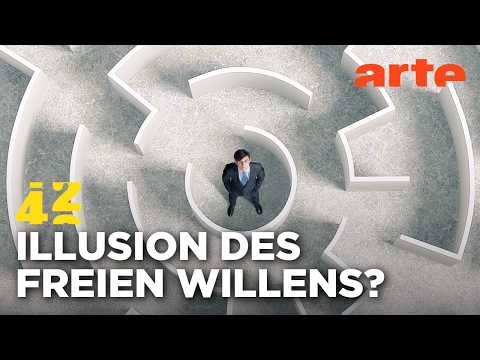 Wie FREI entscheiden wir WIRKLICH? | 42 - Die Antwort auf fast alles | ARTE