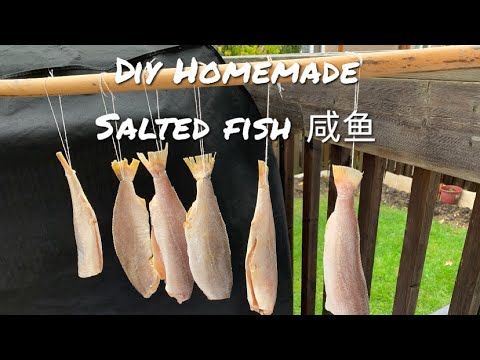 Mom's Recipe: DIY Homemade Salted Fish 咸鱼