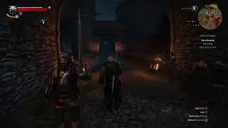 The Witcher 3 livestream gameplay with Sinistrous
