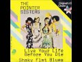 The Pointer Sisters Live Your Life Before You Die