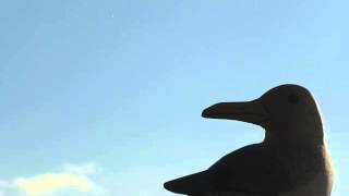 Neil Diamond - Jonathan Livingston Seagull 1 & 2 - New Year's Eve - 31-12-2014 - 1
