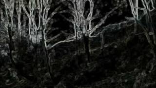 The Beta Band - Assessment (C Swing&#39;s Bootleg Mix)