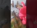 Floor Is Lava Disclmer Read Description Thx