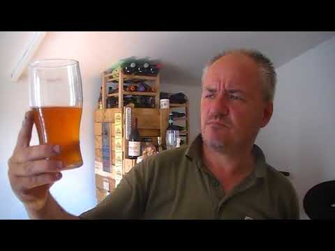 download lagu mp3 mp4 Evil Dog Beer, download lagu Evil Dog Beer gratis, unduh video klip Evil Dog Beer