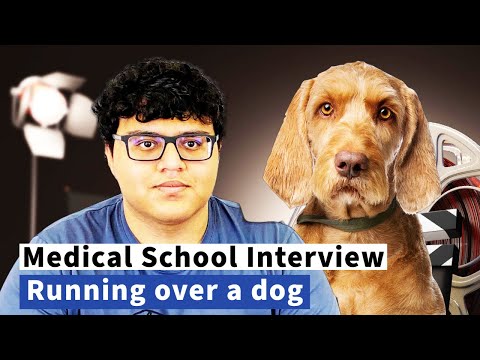 Medical School Interview Questions  - Empathy - Running over a dog