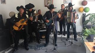Video de Grupo GP Primo