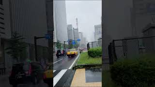 2026.6.3 13時頃 皆さん台風はいかがでしたか。銀座3丁目付近の映像です。