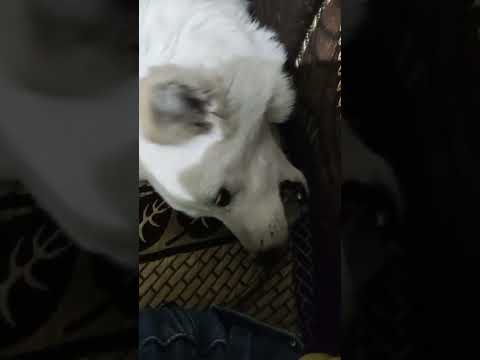 😂😂😂🤣🤣😂