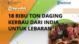 Jelang Lebaran Harga Daging Sapi Bakal Naik, Pemerintah Impor 18 Ribu Ton Daging Kerbau dari India