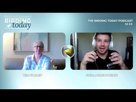 THE BIRDING TODAY PODCAST S3 E3 | ACT Birding and eBird Reviewing | KIM FARLEY