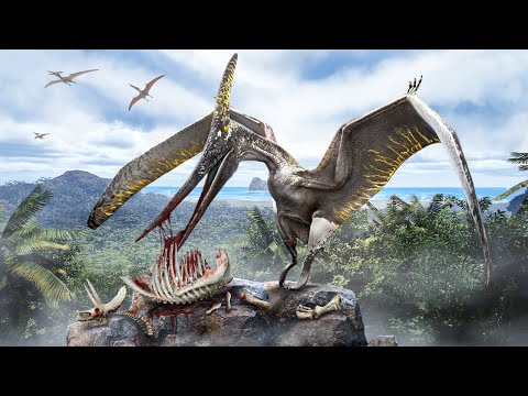 The Pteranodon Solo Survival Experience…