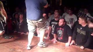 RAINFEST wisdom in chains 6