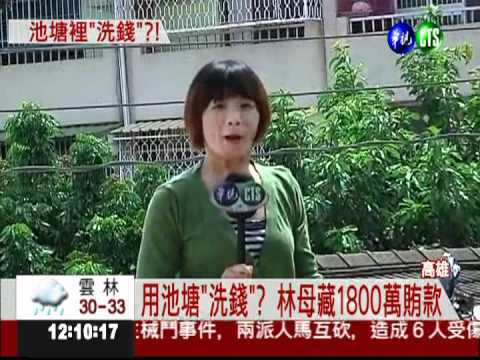 彭愛佳求救! 林母撈1800萬救子